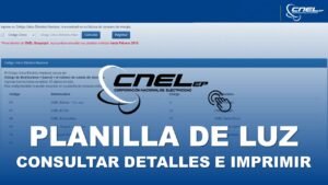 Consultar planilla de luz CNEL Guayaquil