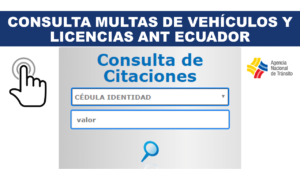 Consulta de multas por placa y licencia ANT