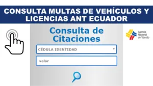 Consulta de multas por placa y licencia ANT